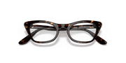 Clear Lenses, Polished Havana Frame