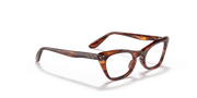 Clear Lenses, Polished Striped Havana Frame