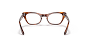 Clear Lenses, Polished Striped Havana Frame