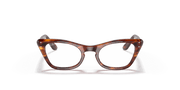 Clear Lenses, Polished Striped Havana Frame