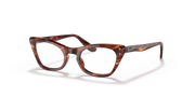 Clear Lenses, Polished Striped Havana Frame