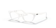 Clear Lenses, Polished White Frame