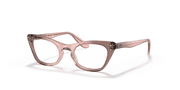 Clear Lenses, Polished Transparent Pink Frame