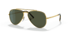 [Green Lenses, Polished Gold Frame]