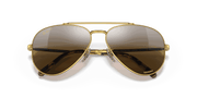 Silver/Brown Lenses, Polished Gold Frame