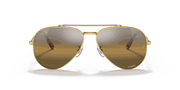 Silver/Brown Lenses, Polished Gold Frame