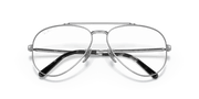 Clear Lenses, Polished Silver Frame