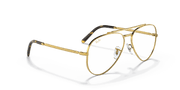 Clear Lenses, Polished Gold Frame