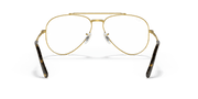 Clear Lenses, Polished Gold Frame