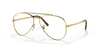 [Clear Lenses, Polished Gold Frame]