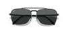 [Dark Grey Lenses, Polished Black Frame]