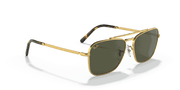 Green Lenses, Polished Gold Frame