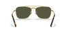 [Green Lenses, Polished Gold Frame]