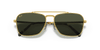 [Green Lenses, Polished Gold Frame]