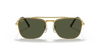 [Green Lenses, Polished Gold Frame]