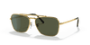 [Green Lenses, Polished Gold Frame]