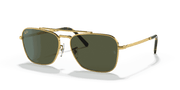 Green Lenses, Polished Gold Frame