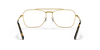 [Clear Lenses, Polished Gold Frame]