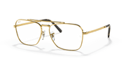 Clear Lenses, Polished Gold Frame