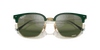 [Silver Lenses, Polished Green On Gold Frame]