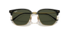 [Green Lenses, Polished Black On Gold Frame]