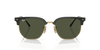 [Green Lenses, Polished Black On Gold Frame]