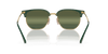 [Silver/Green Lenses, Polished Green On Gold Frame]