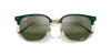 [Silver/Green Lenses, Polished Green On Gold Frame]