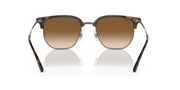 Brown Lenses, Polished Havana Frame