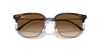 [Brown Lenses, Polished Havana Frame]