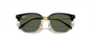 [Dark Green Lenses, Polished Black On Gold Frame]