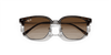 [Brown Lenses, Polished Havana On Gunmetal Frame]