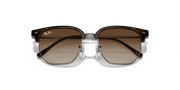 Brown Lenses, Polished Havana On Gunmetal Frame