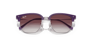 Grey/Violet Lenses, Polished Opal Violet On Silver Frame