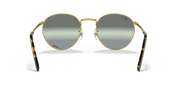 Silver/Green Lenses, Polished Gold Frame