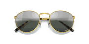 Silver/Green Lenses, Polished Gold Frame