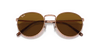 [Brown Lenses, Polished Rose Gold Frame]