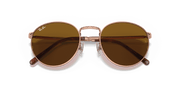 Brown Lenses, Polished Rose Gold Frame