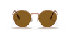 [Brown Lenses, Polished Rose Gold Frame]