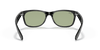 [Green Lenses, Polished Black Frame]