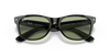 [Green Lenses, Polished Black Frame]