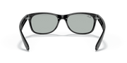 Light Grey Lenses, Polished Black Frame