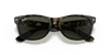 [G-15 Green Lenses, Polished Tortoise Frame]