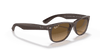 [Brown Lenses, Matte Transparent Brown Frame]