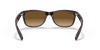 [Brown Lenses, Matte Transparent Brown Frame]