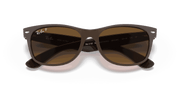 Brown Lenses, Matte Transparent Brown Frame