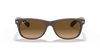 [Brown Lenses, Matte Transparent Brown Frame]