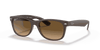 [Brown Lenses, Matte Transparent Brown Frame]