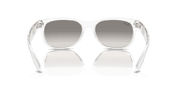 Clear Grey Lenses, Polished Transparent Frame