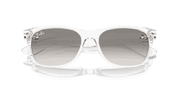 Clear Grey Lenses, Polished Transparent Frame